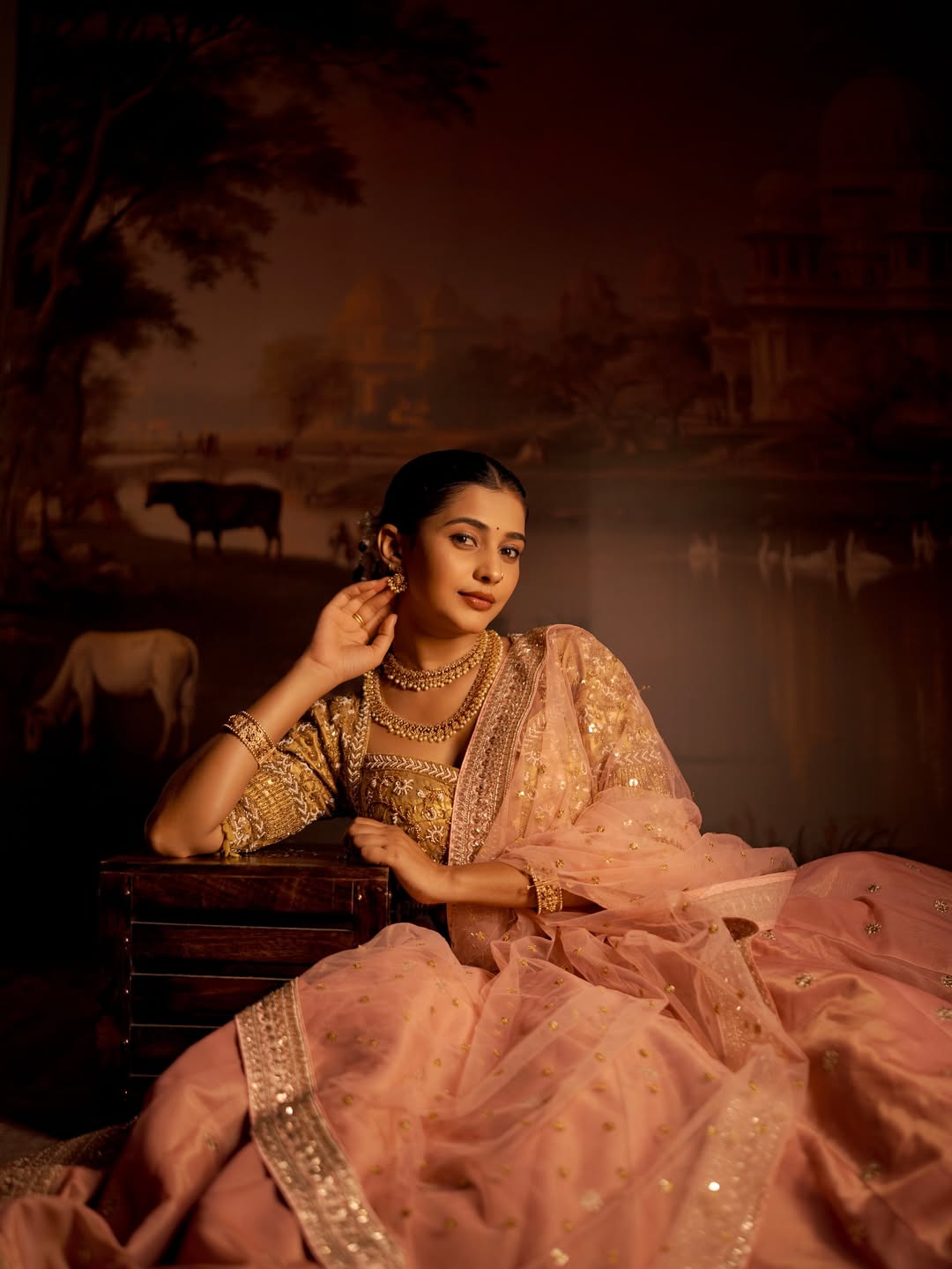 Shivani Mundhekar royal look