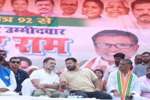 Bihar election 2025, BJP opposition strategy, Bihar political analysis, Nitish Kumar JDU performance, RJD voting statistics, Indian election results, political strategy Bihar, opposition alliance Bihar,