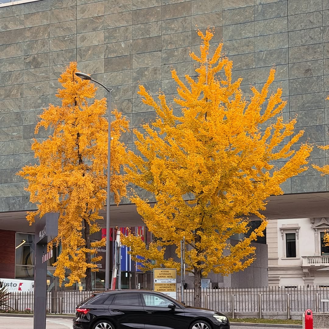 Marathi actress Neha Pendse