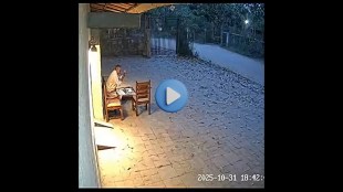 AI Technology Wildlife Hoax Challenge Tiger Attack Fake Video Chandrapur Bramhapuri Forest Warns