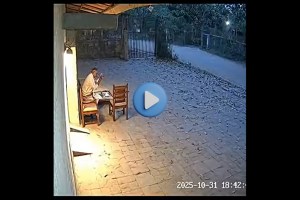 AI Technology Wildlife Hoax Challenge Tiger Attack Fake Video Chandrapur Bramhapuri Forest Warns