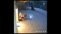 VIDEO : ‘एआय’ तंत्रज्ञानाने तयार केलेल्या वाघांच्या व्हिडिओने वनखात्यासमोर आव्हान; वाघाने वनरक्षकावर हल्ला केल्याचा व्हिडिओ खोटा…