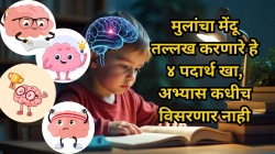 मुलांचा मेंदू तल्लख करणारे हे ४ पदार्थ; केलेला अभ्यास कधीच विसरणार नाही, सद्गुरूंनी सांगितले खास फायदे