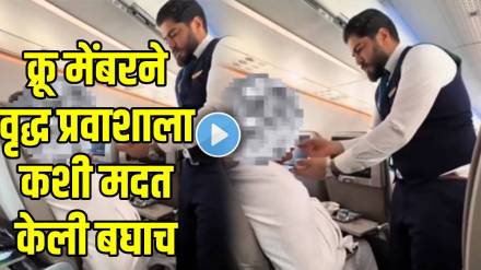 Airlines-attendant-Help-elderly-passenger Airlines-attendant-Help-elderly-passenger