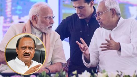 Ajit Pawar NDA victory credit to women voters Bihar