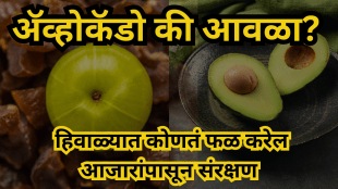 Amla and avocado