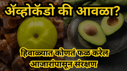 Amla and avocado