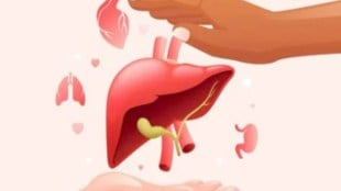 Australian Woman Organ Donor Lonavala Diwali Guest Saves Four Embassy Aditya Birla Hospital Transplant