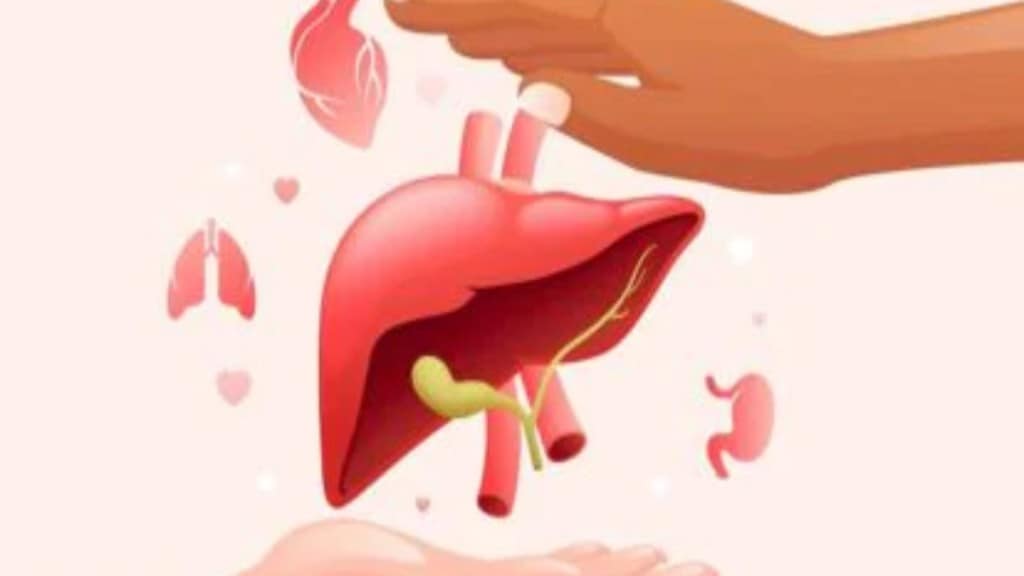 Australian Woman Organ Donor Lonavala Diwali Guest Saves Four Embassy Aditya Birla Hospital Transplant