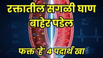 best foods for blood purification