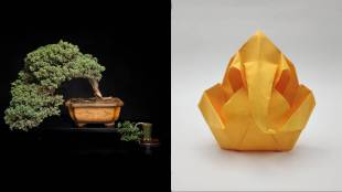 Bonsai and origami art exhibition at the Ranichi Baug