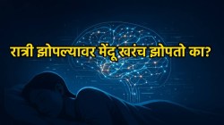 Brain and Memory: ‘शिकलो पण लक्षात राहत नाही’, असं का होतं?; आता विज्ञानाकडे आहे यावर उत्तर!