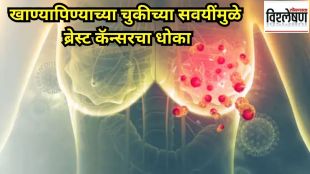 Breast Cancer Risk How Everyday Foods Raise