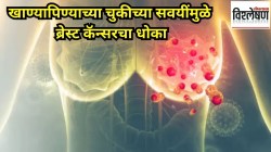 खाण्यापिण्याच्या चुकीच्या सवयींमुळे ब्रेस्ट कॅन्सरचा धोका; कोणत्या पदार्थांचे सेवन टाळावे? डॉक्टर काय सांगतात?