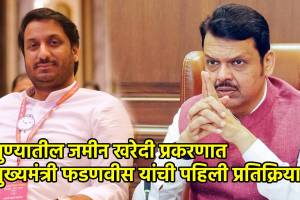 CM Devendra Fadnavis on Parth Pawar