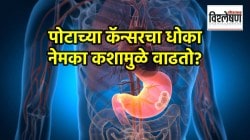 Causes Cancer : मसालेदार पदार्थांमुळे वाढतो पोटाच्या कॅन्सरचा धोका? ‘या’ लक्षणांकडे दुर्लक्ष नको; काय सांगतात तज्ज्ञ?