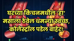 फक्त ५ रुपयांच्या मसाल्याने नसांमध्ये साचलेलं खराब कोलेस्ट्रॉल झटक्यात होईल साफ! रोज चावून खा; धमन्या होतील स्वच्छ आणि हार्ट अटॅक येणार नाही!