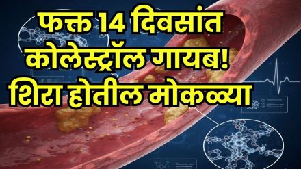 garlic lemon ginger honey drink for cholesterol garlic lemon ginger honey drink for cholesterol