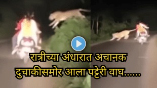 Couples Night Ride Turns Heart‑Stopping When Striped Tiger Blocks Their Way Watch the Viral Video