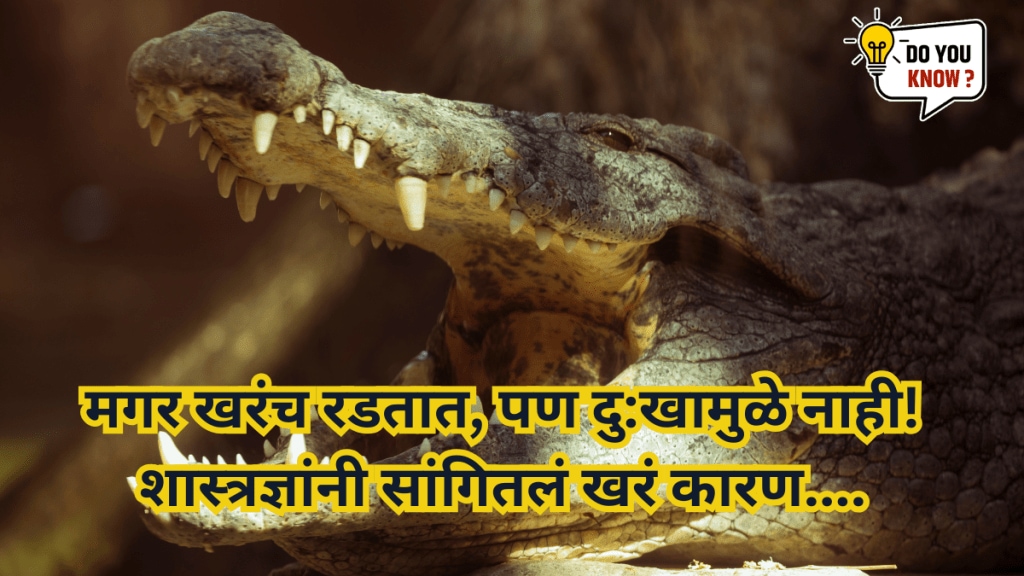 Crocodile Tears Are Natural Not Emotional Surprising