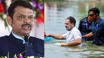 What Devendra Fadnavis Said About Rahul Gandhi ?