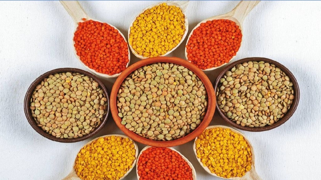 Dal Tadka History Culinary Migration India Pulses Cuisine Ancient History Healthy Food Dal Tadka History Culinary Migration India Pulses Cuisine Ancient History Healthy Food
