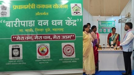 Dhule Baripada Mohgaon Chawadipada Van Dhan products international market opportunity Dhule Baripada Mohgaon Chawadipada Van Dhan products international market opportunity