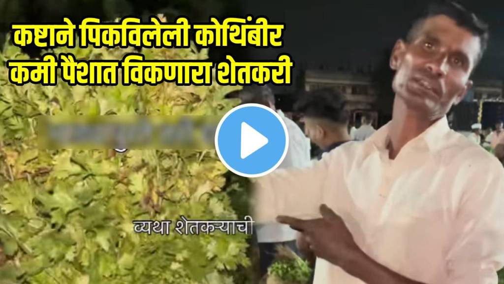 Farmer-Pain-as-Coriander-Fails-to-Sell