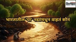 भारतातील ‘या’ नद्यांमध्ये सापडतं सोनं; लोक कसे कमावतात पैसे? सोनं नक्की कुठून येतं?