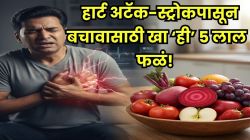 हार्ट अटॅक आणि स्ट्रोकचा धोका होणार कमी! आजपासूनच खायला घ्या ‘ही’ ५ लाल फळं; कोलेस्ट्रॉल आणि डायबिटीस राहील नियंत्रणात