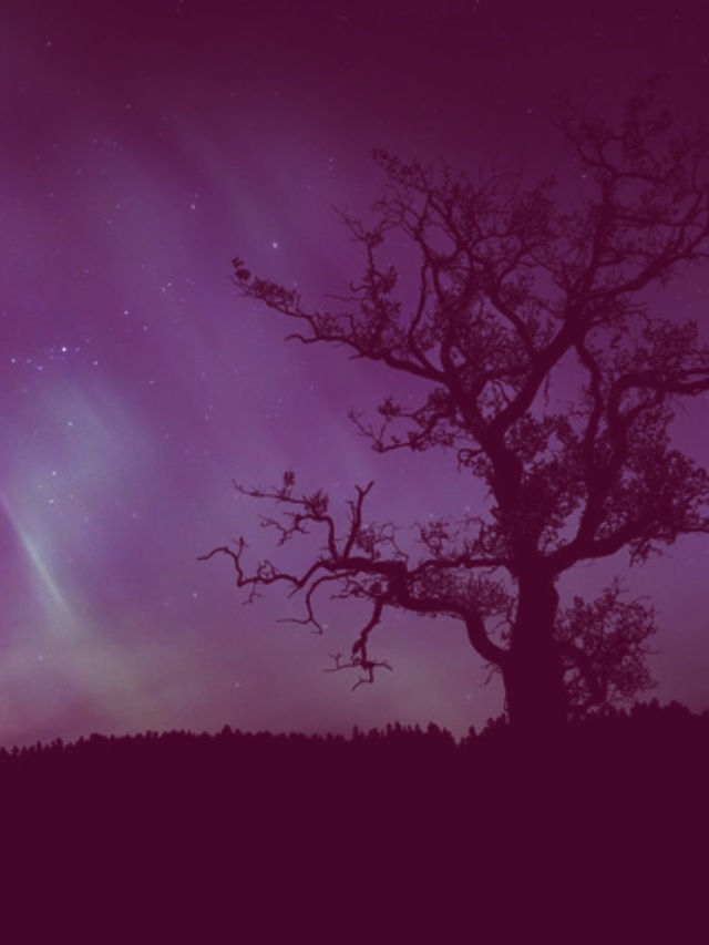 Horoscope Today Thursday 20 November 2025