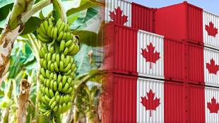 Movement to start cargo terminal at Jalgaon Airport