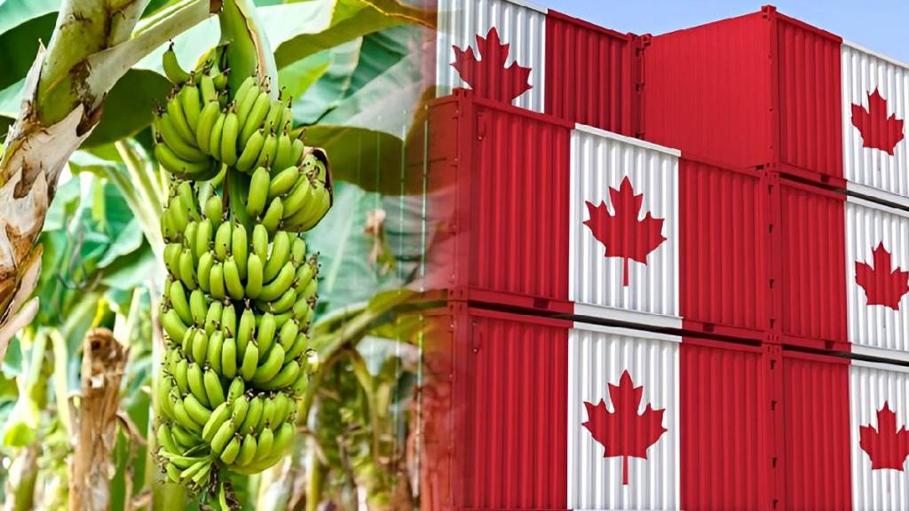 Movement to start cargo terminal at Jalgaon Airport Movement to start cargo terminal at Jalgaon Airport