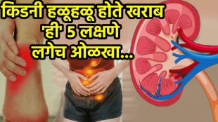 Kidney Damage Habits