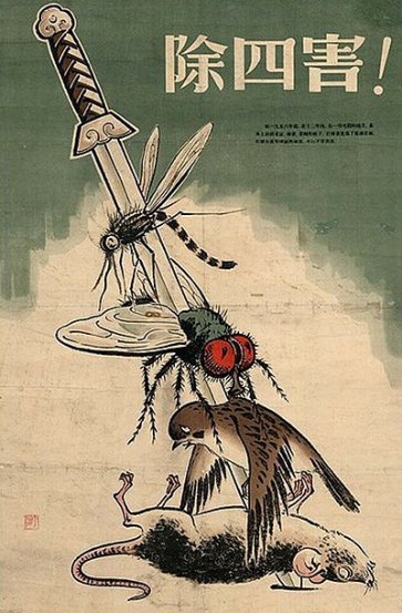 Chinese poster reading "Exterminate The Four Pests", 1958 (विकिपीडिया)