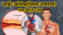 हृदयासाठी औषध ठरतील हे ५ पेय! LDL कोलेस्ट्रॉल झटक्यात साफ करून जपतील हृदयाचं आरोग्य!