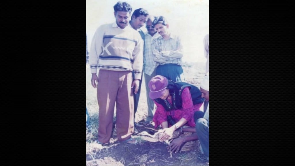 Lesser Florican Tanmor Conservation Pardhi Community Akola Maharashtra IUCN Endangered India Grassland Bird Sanctuary Lesser Florican Tanmor Conservation Pardhi Community Akola Maharashtra IUCN Endangered India Grassland Bird Sanctuary