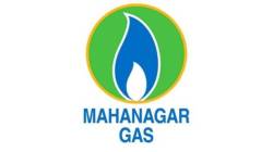 CNG Supply Disrupted : महानगर गॅसच्या पाईपलाईनमध्ये बिघाड; सीएनजी पुरवठा प्रभावित, घरगुती गॅसवर परिणाम नाही