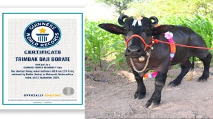 Maharashtra Satara Man Radha Buffalo Guinness Record Worlds Shortest Global Tributek Borate mumbai