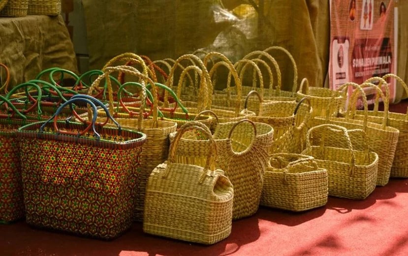 Major agricultural produce of Bihar