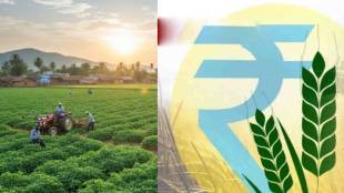 Major agricultural produce of Bihar