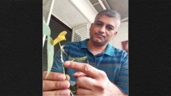 संशोधनाचा ‘किडा’; पुण्यातील संशोधक सांगतोय पर्यावरणाला मदत करणाऱ्या कीटकांच्या कथा…