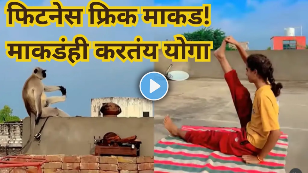 Viral Video Of monkey Copying Woman Doing Yoga