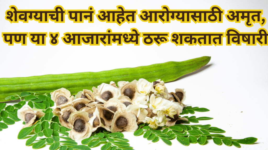 Moringa leaves are nectar for health but they can have a poisonous effect on these 4 diseases