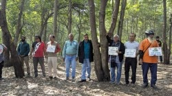 Nashik Kumbha Mela: वृक्षतोडीचे पाप कुंभमेळ्यात स्नान करून धुतले जाईल का ? निवृत्त सनदी अधिकाऱ्याने सरकारला सुनावले…