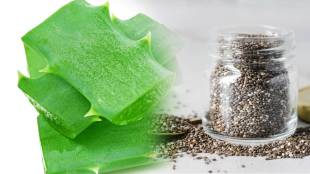 Aloe vera and chia seed gel for natural hair growth