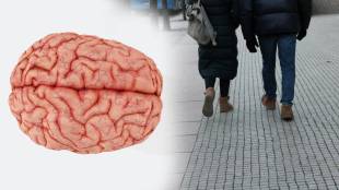 Walking improves brain health and helps control Alzheimer’s symptoms.