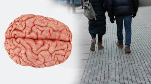 ‘अल्झायमर’ आजार नेमका काय आहे? दररोज चालल्याने तो खरंच बरा होऊ शकतो का?