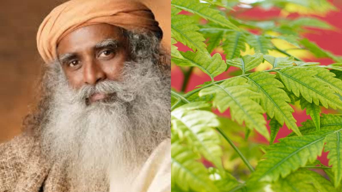 Sadhguru recommends kadulimb, turmeric and copper water to boost immunity naturally