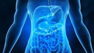 yogasan for digestion and gut health